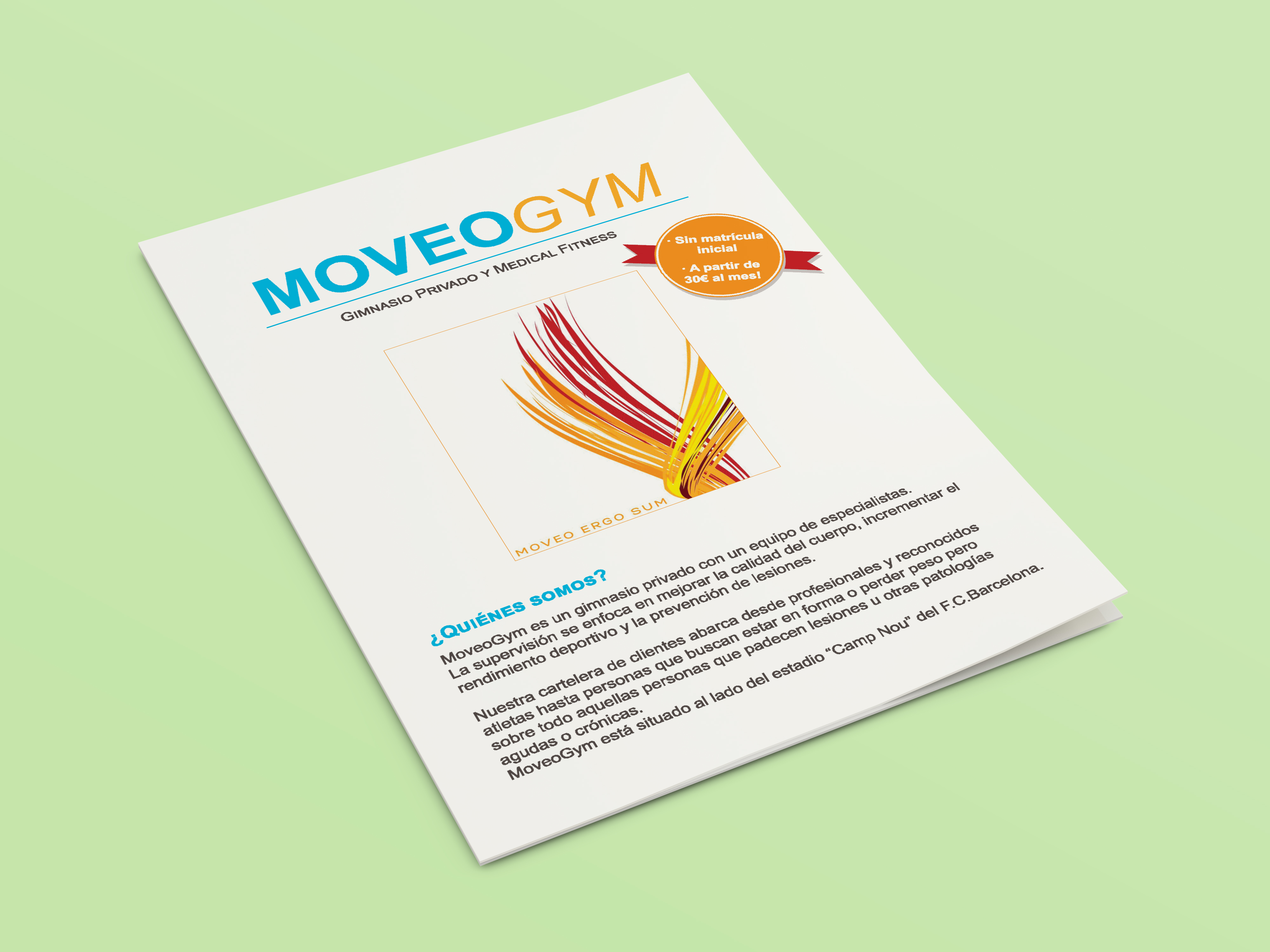 moveogym flyer.jpg