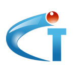 IT Company