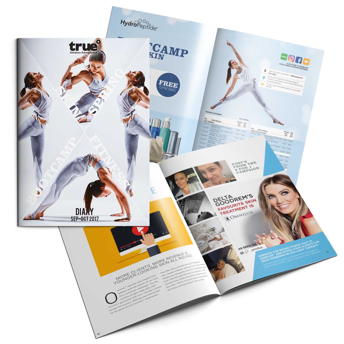 True Solutions Brochure