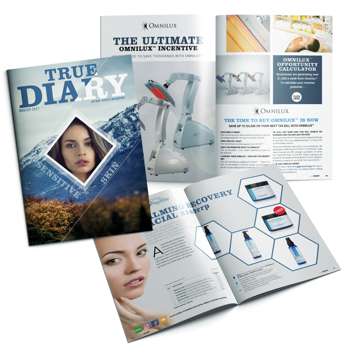 True Solutions Winter Diary